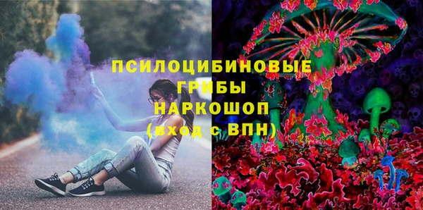 2c-b Белокуриха