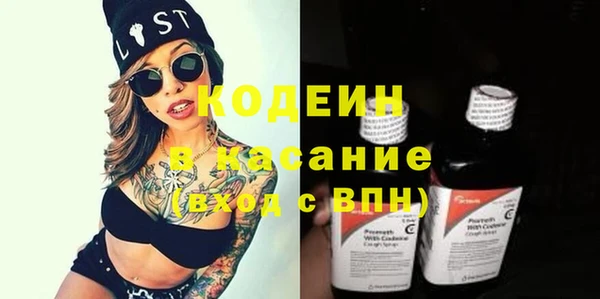 apvp Гусев