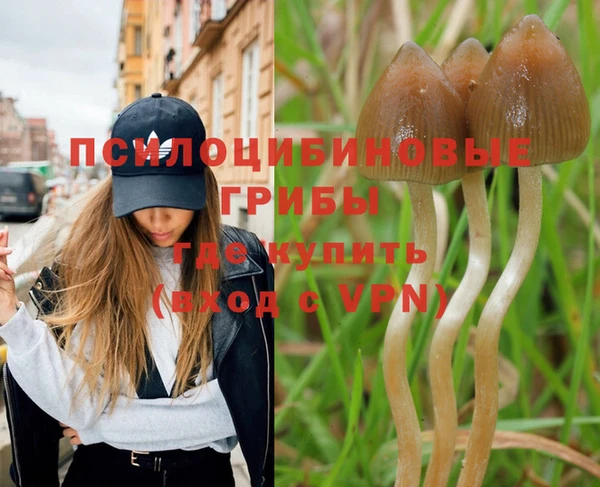 эйфоретик Беломорск