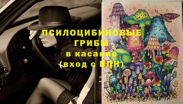 прущие крисы Балахна
