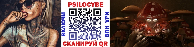 Псилоцибиновые грибы прущие грибы Кашин
